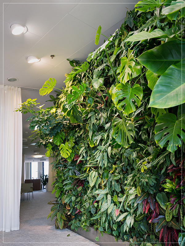 Vertical Garden / Wall greening