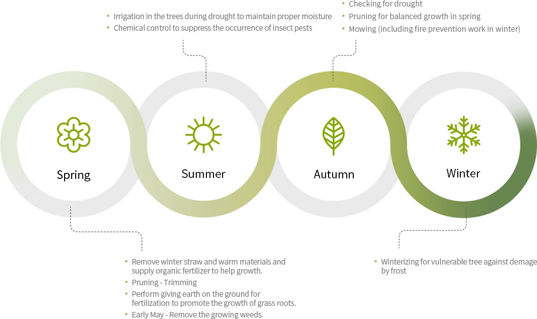 Seasonal tree management overview