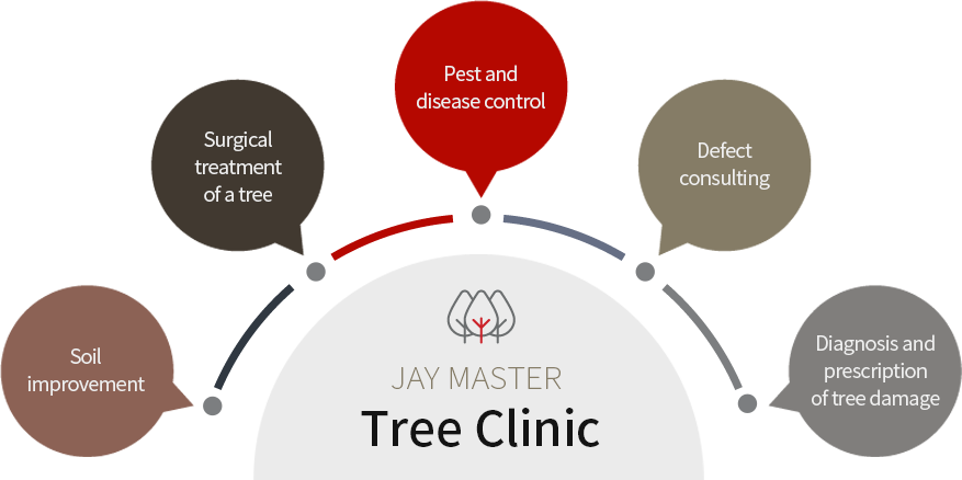 Tree Clinic - Soil improvement, Arboreal surgery, Pest and disease control, Arboreal defect consulting, Diagnosis and prescription of tree damage